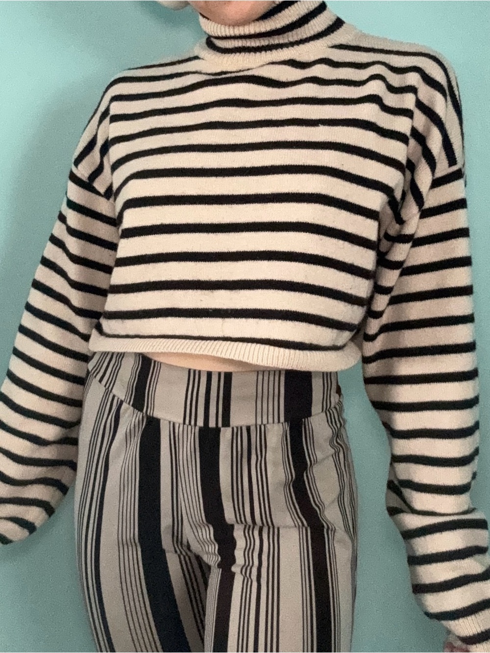 Cider Cream and Black Striped Cropped Turtleneck Sweater - Picture 4 of 7